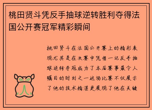 桃田贤斗凭反手抽球逆转胜利夺得法国公开赛冠军精彩瞬间